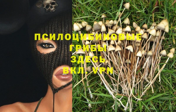 прущие крисы Абаза