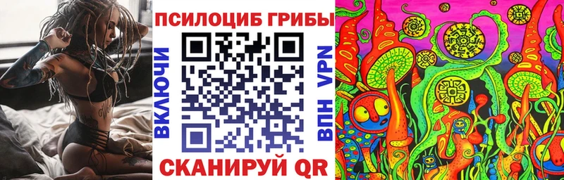 Галлюциногенные грибы Cubensis где купить наркотик Шали