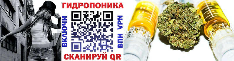 МАРИХУАНА семена  Шали 